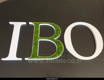 IBO l'instant bento Hoa déco création artificielle