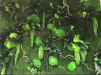 logo vegetal les champs jouault lichen vert citron stabilisé vitrine fond d'ecran Hoa déco