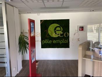 logo vegetal lichen scandinave premium HOA DECO POLE EMPLOI HALL ACCUEIL RENNES zen spirit green wall