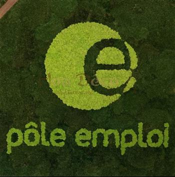 logo vegetal lichen scandinave premium HOA DECO POLE EMPLOI HALL ACCUEIL RENNES