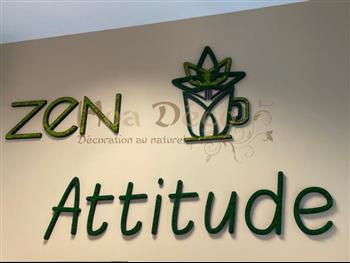 logo zen attitude lichen vert nature citron mix Hoa Déco Design vegetal mur