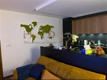 mappe monde 2 hoa deco decembre 2021 green wall murs vegetaux