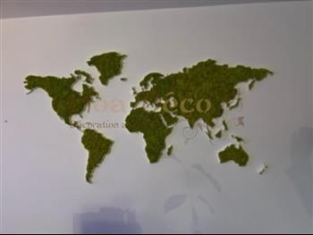 mappe monde 2 hoa deco decembre 2021 pose par le client green wall murs vegetaux 2