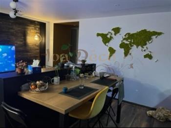 mappe monde 2 hoa deco decembre 2021 green wall murs vegetaux