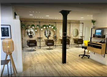 moi d'abord salon coiffure plafond vegetal hoa deco