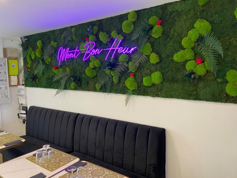 Mont Bon Heur mur vegetal stabilisé logo Hoa Déco Dol de B