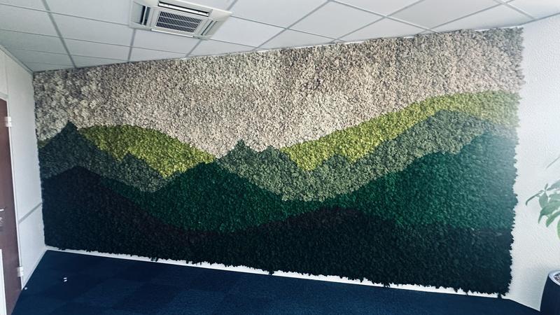 MONTAGNE STABILISEE LICHEN HOA DECO DEPARTEMENT ESSONNE