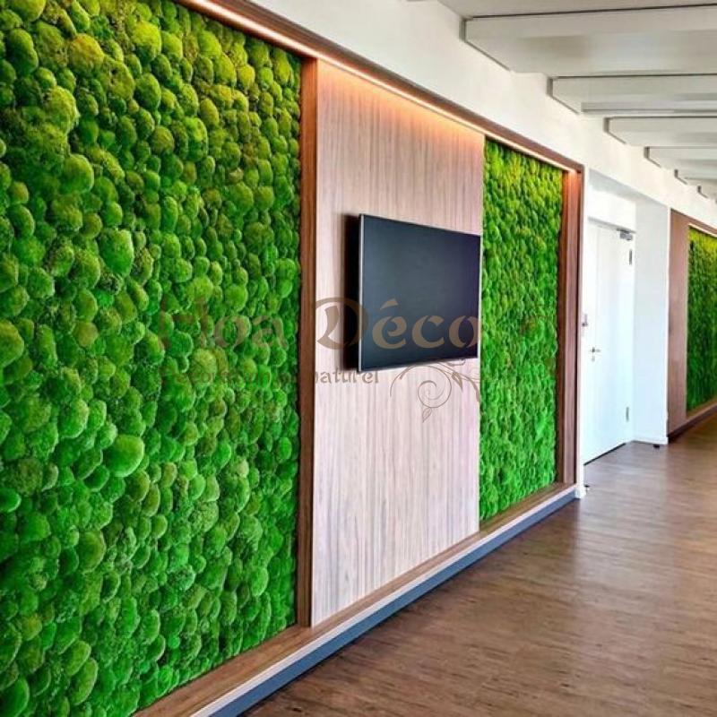 mousses-boules-murs-vegetaux-hoa-deco-green-design