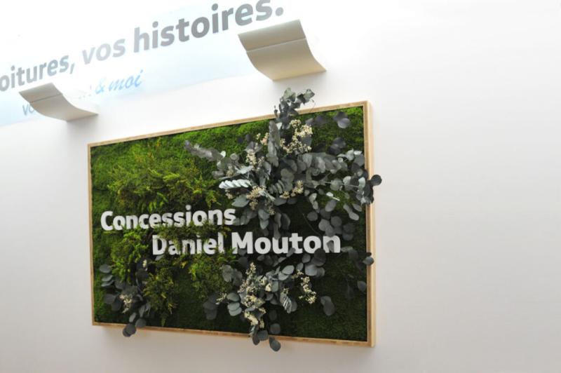 cadre végétal stabilisé hoa déco DANIEL MOUTON