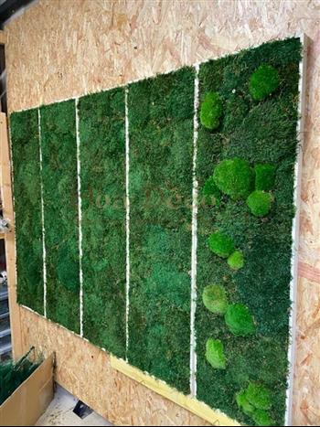 mur mousse boule HOA DECO stabilisé green wall cadre végétal
