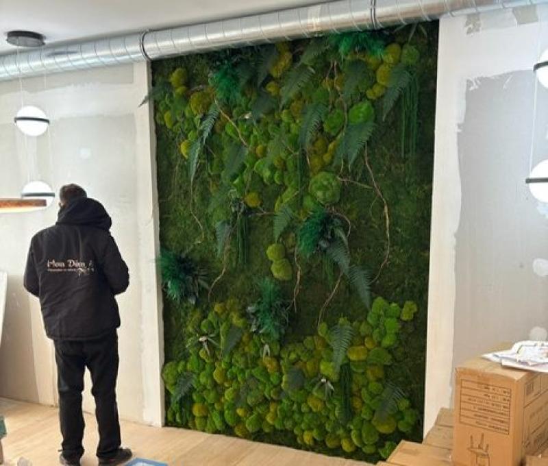 mur naturel mix mousses hoa deco green wall