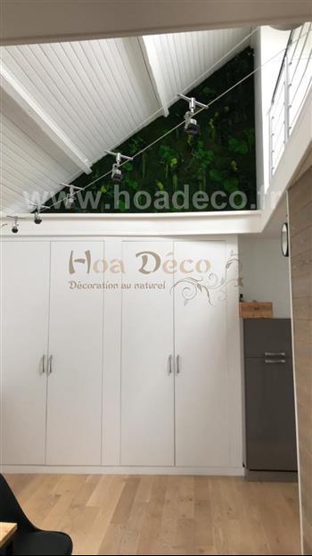 Mur stabilisé Hoa déco atelier fabrication angle niche jardins suspendus zen spirit Green wall fleurs stabilisé lichen vert citron