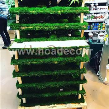 Mur stabilisé Hoa déco atelier fabrication angle niche jardins suspendus zen spirit Green wall fleurs stabilisé silent buisness solution SBS la defense Paris