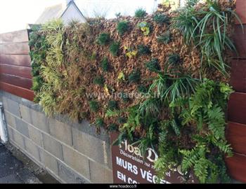 mur végétal cloison double face naturel Hoa déco extérieur facebook green zen spirit wall