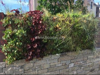 mur vegetal en sphaigne et bois exotique pierre naturel exterieur creation Hoa déco Dinard