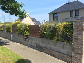 mur vegetal en sphaigne et bois exotique pierre naturel exterieur creation Hoa déco Dinard