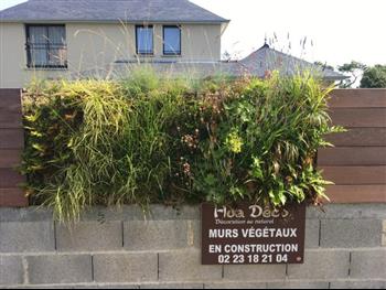 mur vegetal en sphaigne et bois exotique pierre naturel exterieur creation Hoa déco Dinard