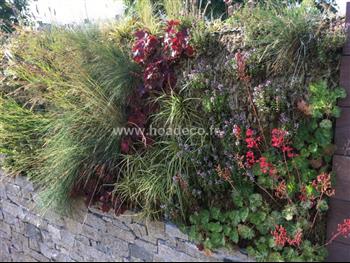 mur vegetal en sphaigne et bois exotique pierre naturel exterieur creation Hoa déco Dinard