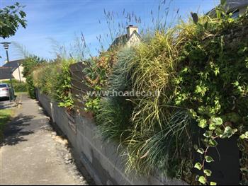 mur vegetal en sphaigne et bois exotique pierre naturel exterieur creation Hoa déco Dinard