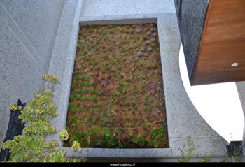 Mur végétal et plante stabilisée à Saint-Malo, Bretagne