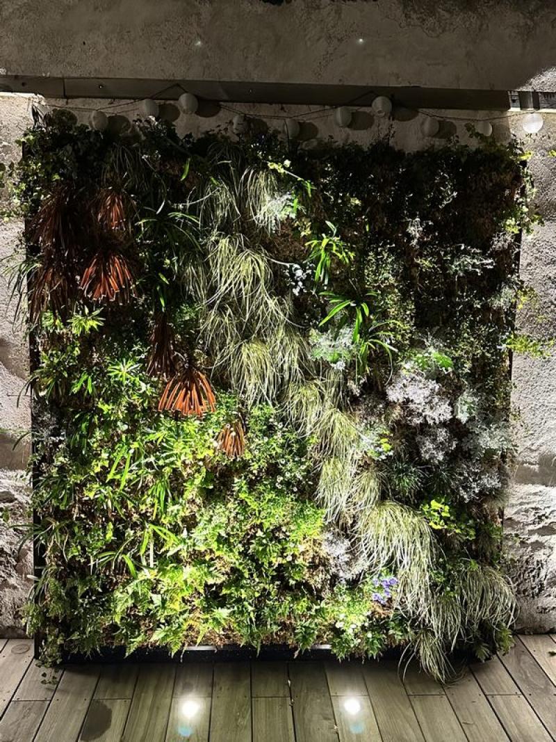 Mur vegetal green wall exterieur sphaigne du chili by Hoa Déco