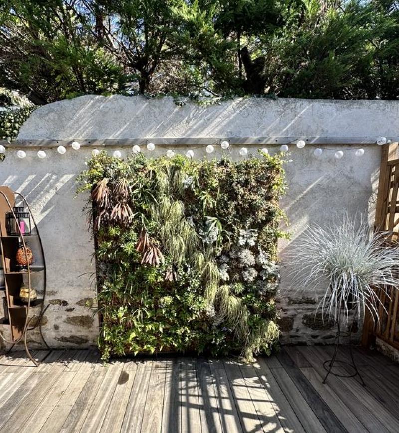 Mur vegetal green wall exterieur sphaigne du chili Hoa Déco