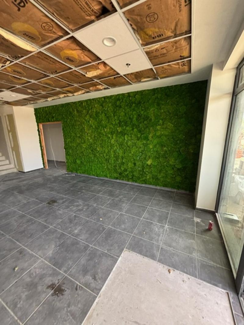 Mur vegetal green wall hoa deco GSE BAYTREE mousses boules stabilisées vertes claires
