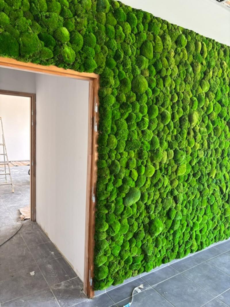 Mur vegetal green wall hoa deco GSE BAYTREE mousses boules stabilisées vertes claires