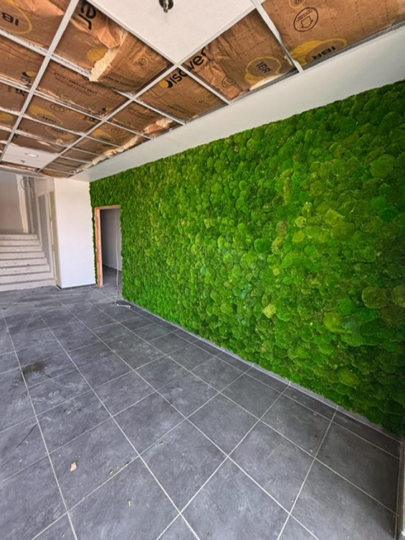 Mur vegetal green wall hoa deco GSE BAYTREE mousses boules stabilisée