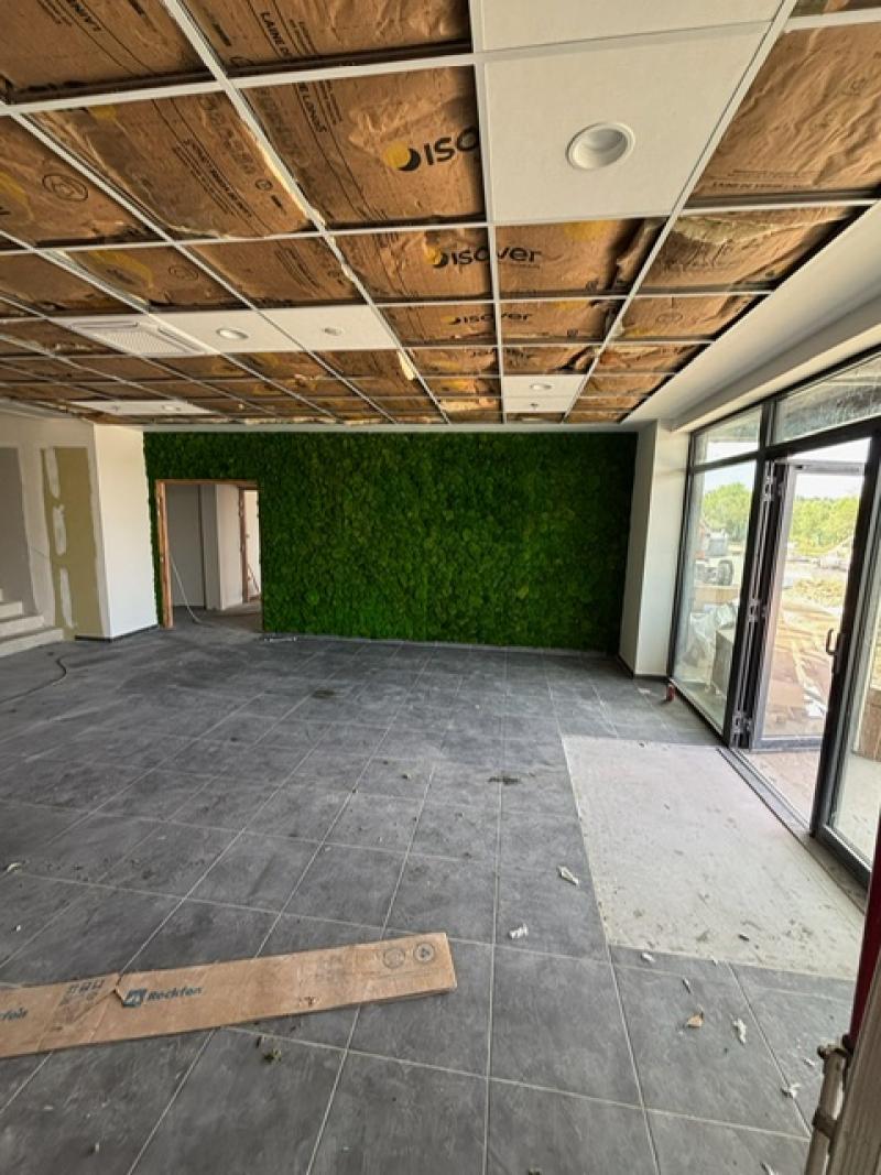 Mur vegetal green wall hoa deco GSE BAYTREE mousses boules stabilisées vertes claires