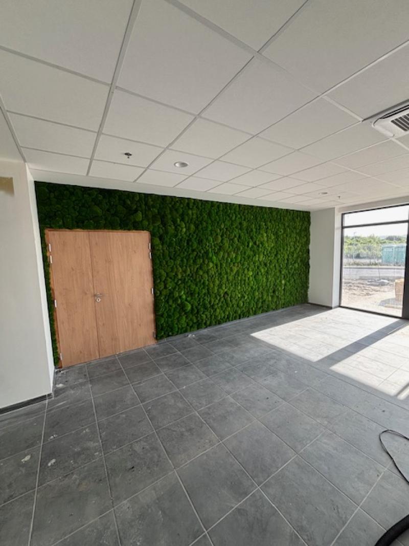 Mur vegetal green wall hoa deco GSE BAYTREE mousses boules stabilisées vertes claires