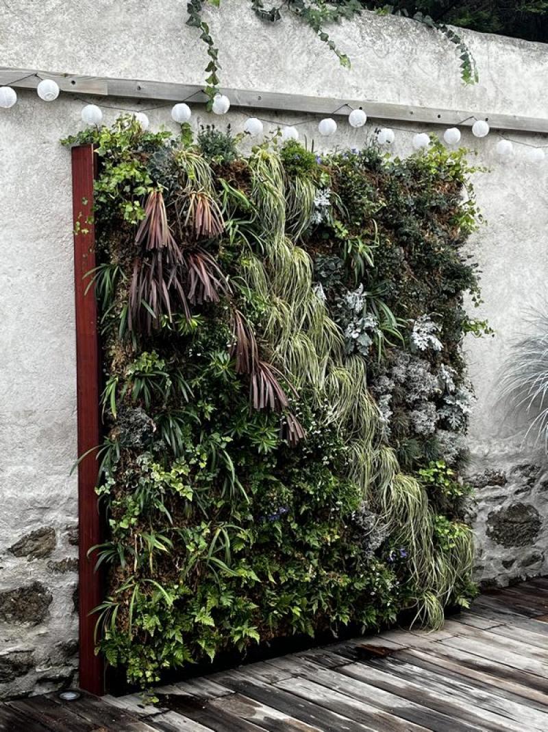 Mur vegetal green wall sphaigne du chili Hoa Déco 2025