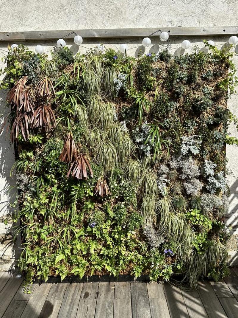 Mur vegetal green wall exterieur sphaigne du chili by Hoa Déco