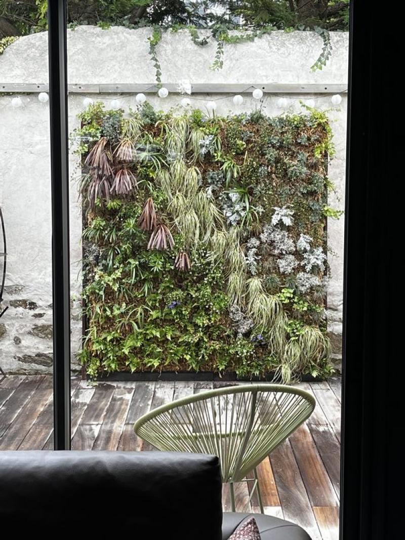 Mur vegetal green wall exterieur sphaigne du chili by Hoa Déco