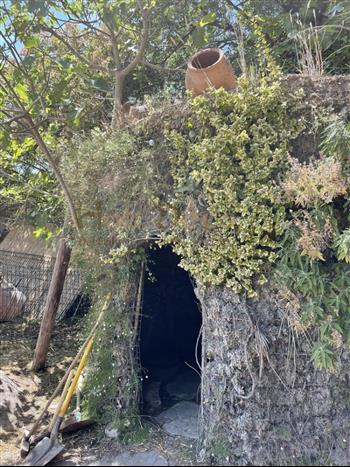 mur vegetal jardinerie plantes exotiques sud france hoa deco cabane vegetale