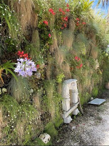 mur vegetal jardinerie plantes exotiques sud france hoa deco cabane vegetale plafond sphaigne