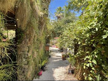 mur vegetal jardinerie plantes exotiques sud france Hoa déco