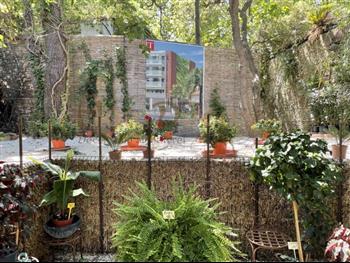 mur vegetal jardinerie plantes exotiques sud france