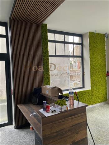 mur vegetal lichen Immonew facons bois avant création bois exotique cumaru