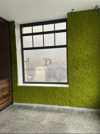 mur vegetal lichen Immonew facons bois avant création metal design creation