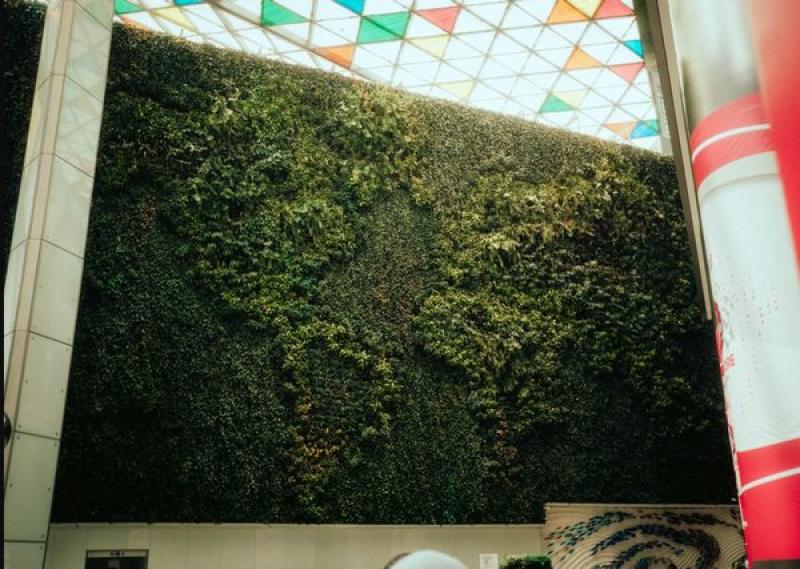 MUR VEGETAL MONDE CARTE HOA DECO DESIGN