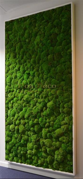 mur vegetal mousse boule stabilisée hoa deco