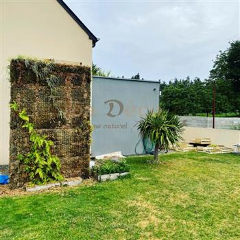 mur végétal naturel - 2021 juillet début plantation Hoa déco piscine pergolas bois exotique