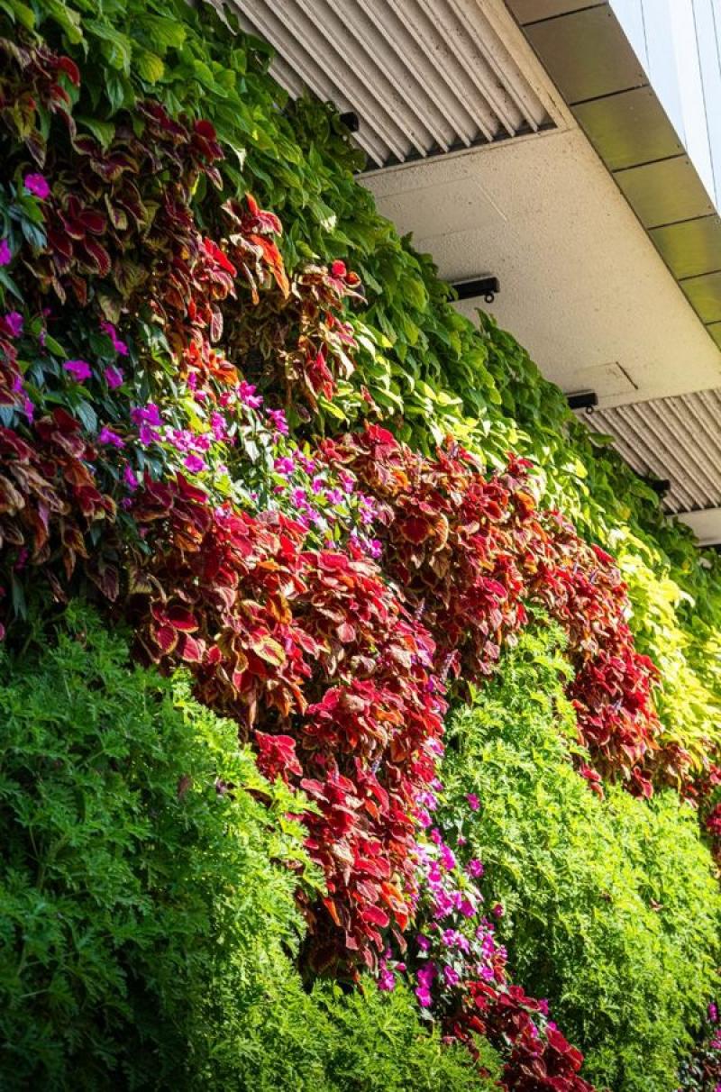 MUR VEGETAL NATUREL COLEUS FOUGERES HOA DECO