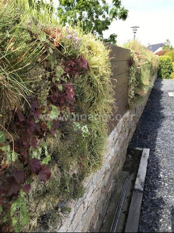 mur vegetal naturel Dinard sphaigne design architecture 1 ans apres Hoa déco fougere euphorbe heucheres pelouse en plaque bois exotique teck parement