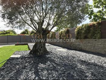 mur vegetal naturel Dinard sphaigne design architecture 1 ans apres Hoa déco fougere euphorbe heucheres pelouse en plaque bois exotique
