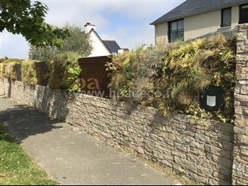 mur vegetal naturel Dinard sphaigne design architecture 1 ans apres Hoa déco
