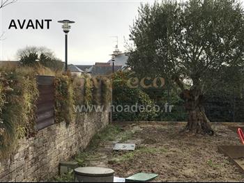mur vegetal naturel Dinard sphaigne design architecture