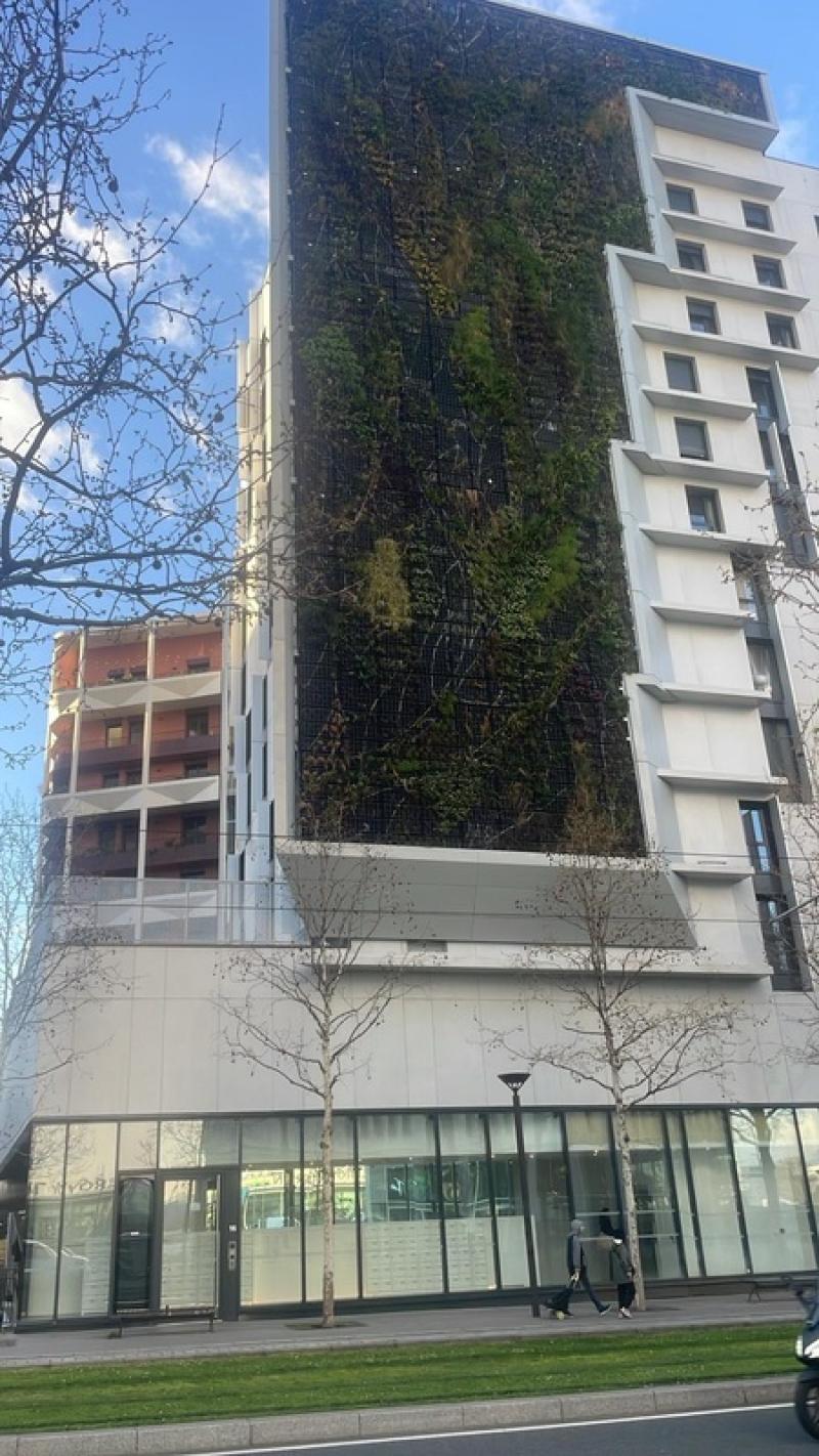 mur vegetal naturel facade immeuble IGH hoadeco inspirations sphaigne plantes
