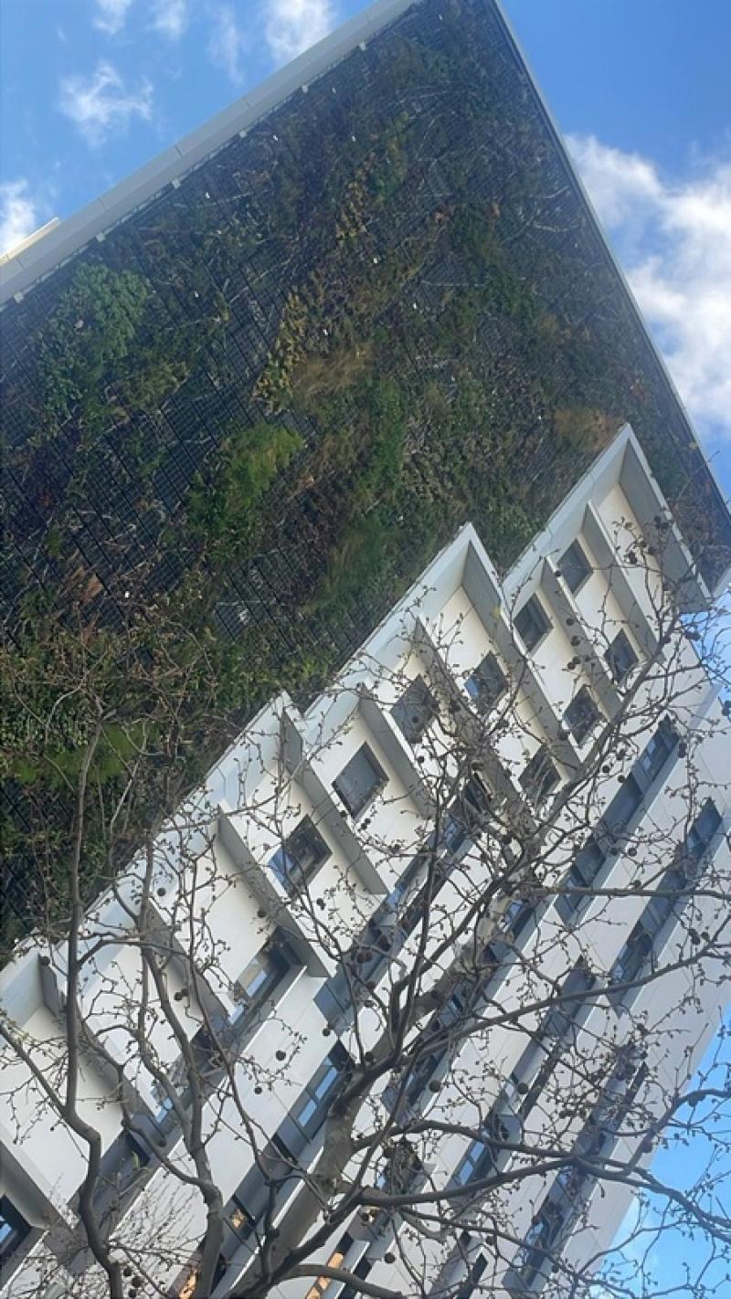 mur vegetal naturel facade immeuble IGH hoadeco inspirations sphaigne plantes